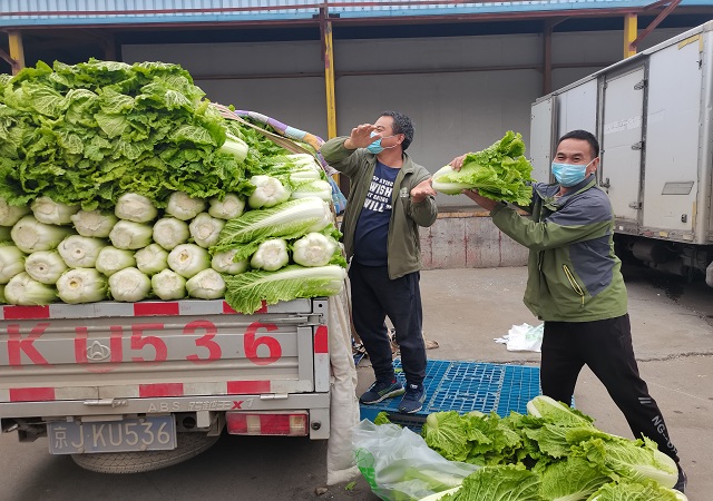 华球huaqiu(中国)加大“冬储菜”调运，全力做好保供稳价